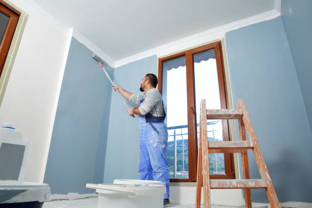 Trusted Bear Creek, AL Mold Removal Experts