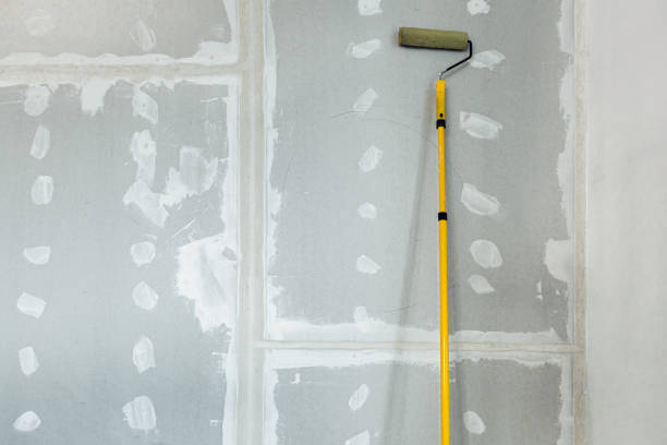 Best Emergency Mold Remediation  in Bear Creek, AL
