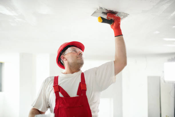 Best Environmental Consulting for Mold Prevention  in Bear Creek, AL