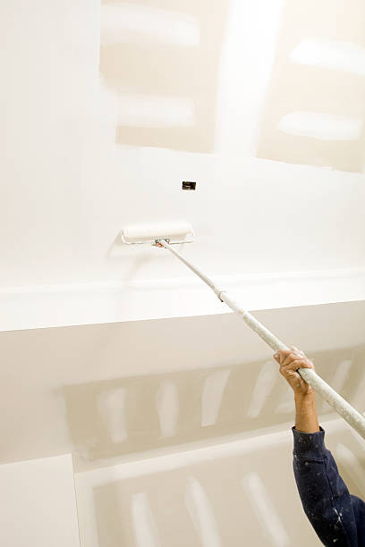 Best Mold Damage Restoration  in Bear Creek, AL